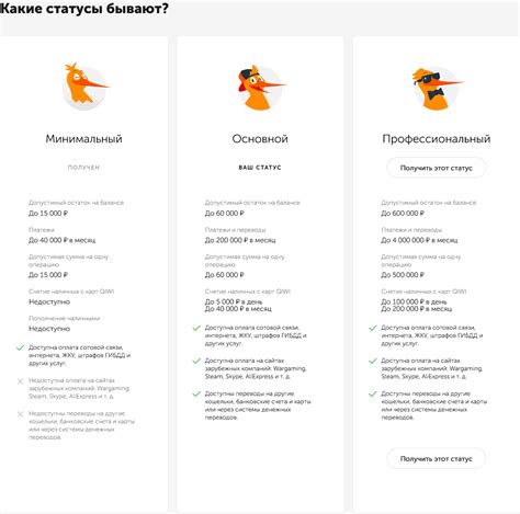 Получение Киви-кошелька с основным статусом через партнеров