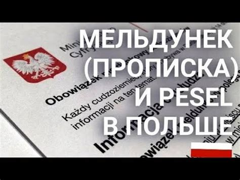 Получение ПЕСЕЛ в Польше: основная информация