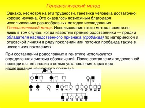 Получение родословной и ее использование