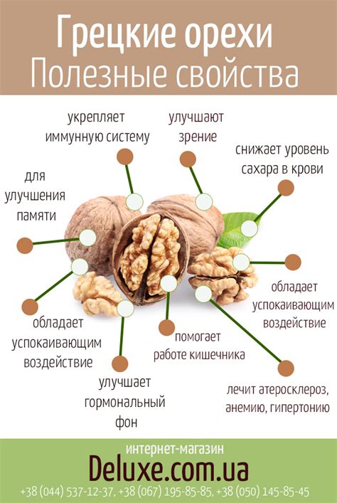 Польза грецкого ореха для собаки