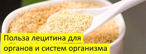 Польза лецитина для организма