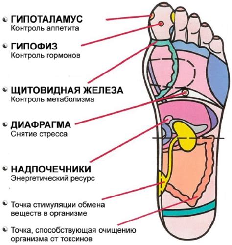 Польза массажа для ног