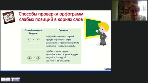 Польза правильного орфографического действия для образования