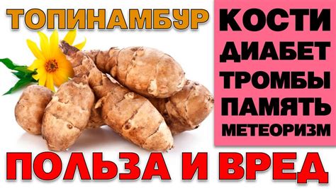 Польза топинамбура для здоровья