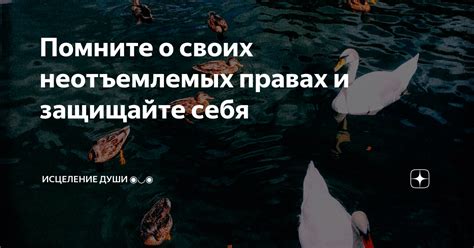 Помните о своих правах и не допускайте дальнейших оскорблений