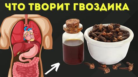 Помогает бороться с болезнями