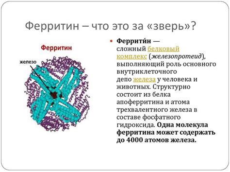 Пониженный уровень тироксина Т4: причины и последствия для здоровья женщин