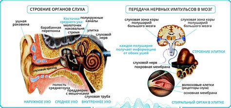 Понимание причины шума кулера