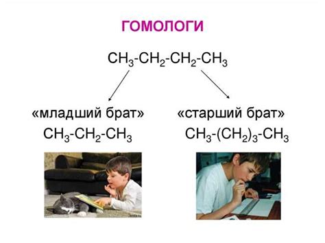 Понятие "гомолог" и его отличия от изомеров