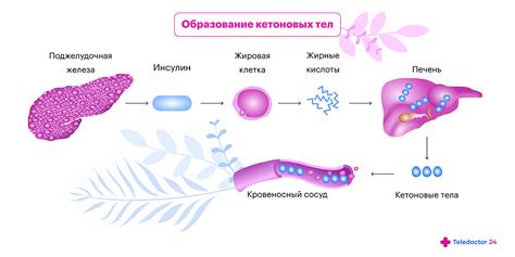 Понятие ацетона в моче