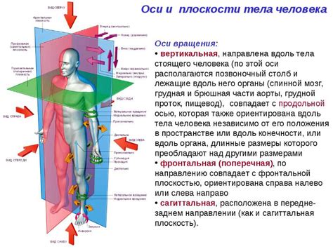 Понятие движения тела