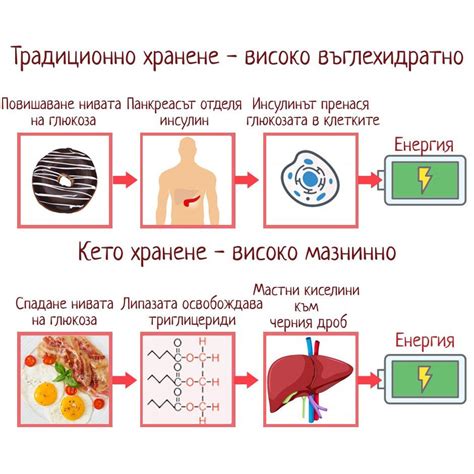 Понятие кетоза