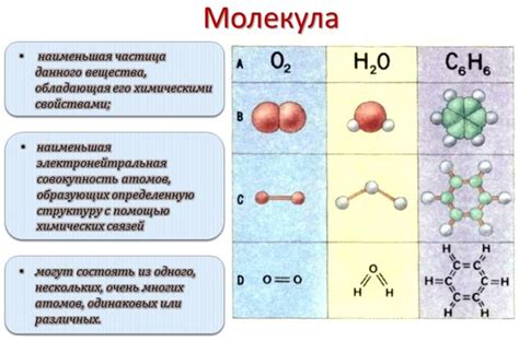 Понятие молекулы и ее строение