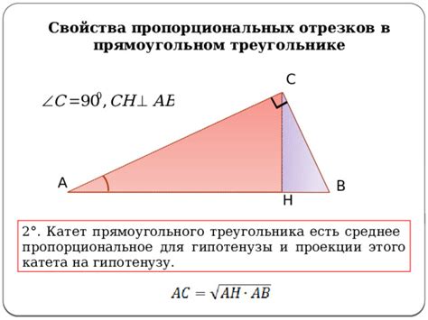 Понятие пропорциональных отрезков в геометрии