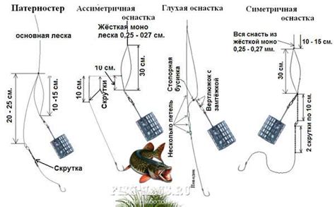 Популярные виды фидерной оснастки