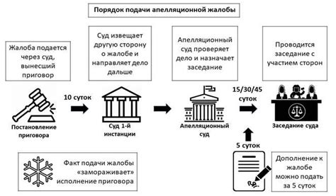 Порядок подачи апелляционной жалобы