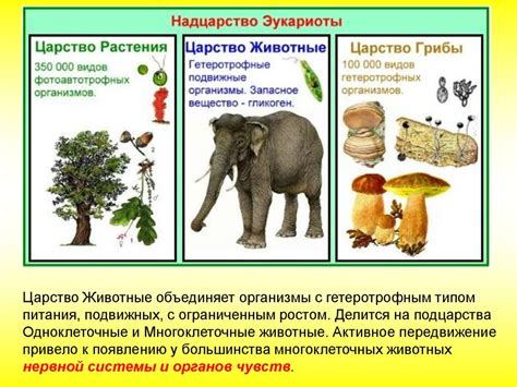 Последствия для живых организмов и биоразнообразия