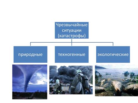 Последствия для здоровья тигра