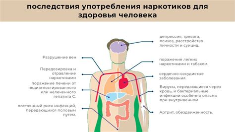 Последствия для общества и Смирнова