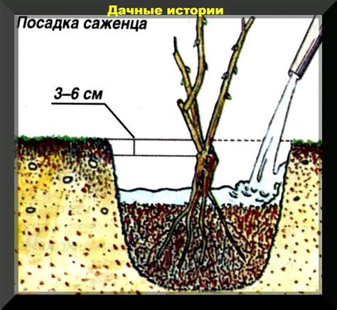 Последующий уход за выравненными брусками