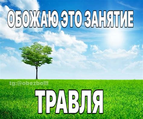 Поставьте вспомнитьи строй