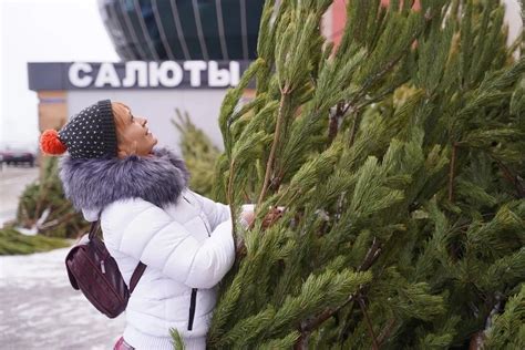 Поставьте елку в воду сразу после покупки