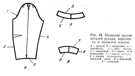 Постановка основных линий и деталей