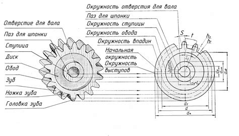 Построение основы шестерни