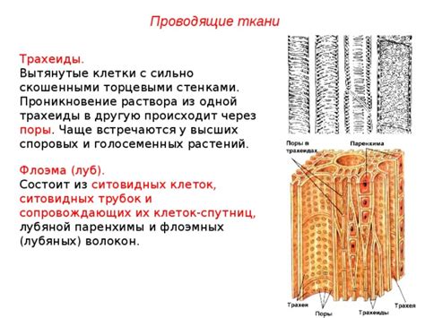 Построение прочного каркаса