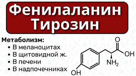 Потенциальные побочные эффекты при потреблении тирозина