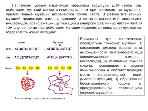 Потенциальные последствия вырожденности генетического кода