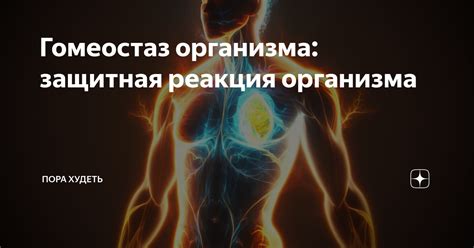 Потоотделение как защитная реакция организма