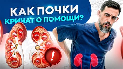 Почему возникают проблемы с почками?