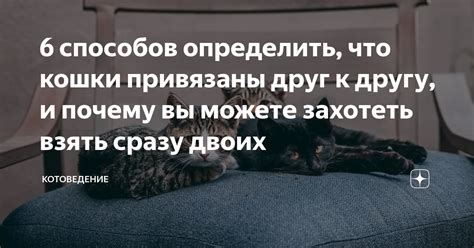 Почему вы можете захотеть отключить сквозное копирование