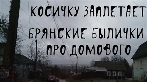 Почему домовой заплетает косичку в волосах?