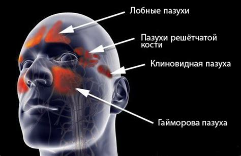 Почему и как необходимо очищать околоносовые пазухи дома