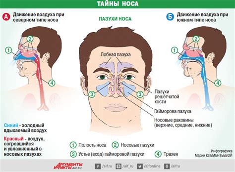 Почему нельзя использовать капли для пробивания носа?