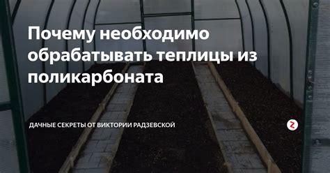 Почему необходимо обрабатывать грунт