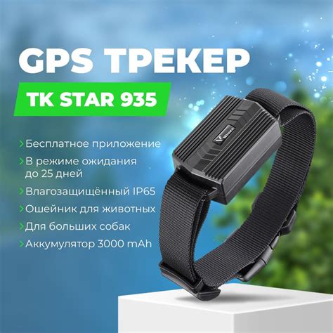 Почему нужен GPS трекер для животных