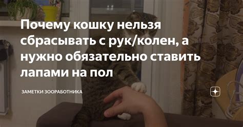 Почему нужно сбрасывать стили