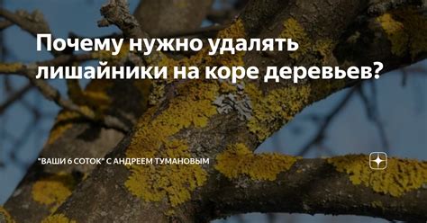 Почему нужно удалять геолокацию