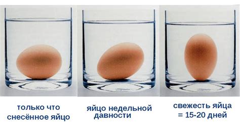 Почему яйцо всплывает при варке?