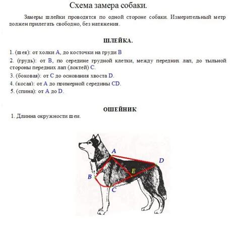 Пошаговая инструкция по изготовлению ошейника