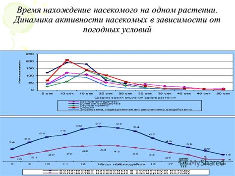 Появление мобов в зависимости от времени суток