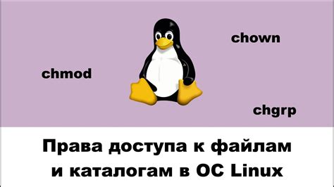 Права superuser в Linux