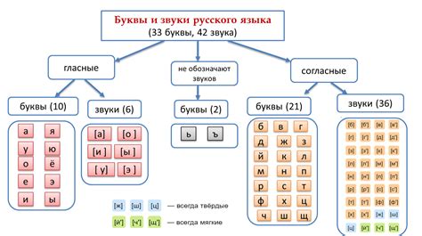 Правила использования буквы ь в русском языке