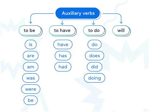 Правила использования вспомогательных глаголов