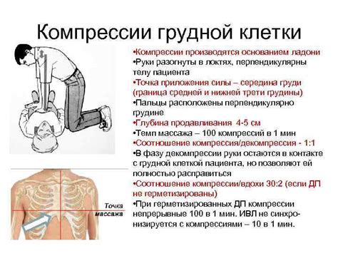 Правила и рекомендации: количество компрессий при ИВЛ