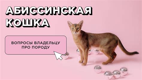 Правила кормления и питания