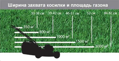 Правила косилки и подстригание газона